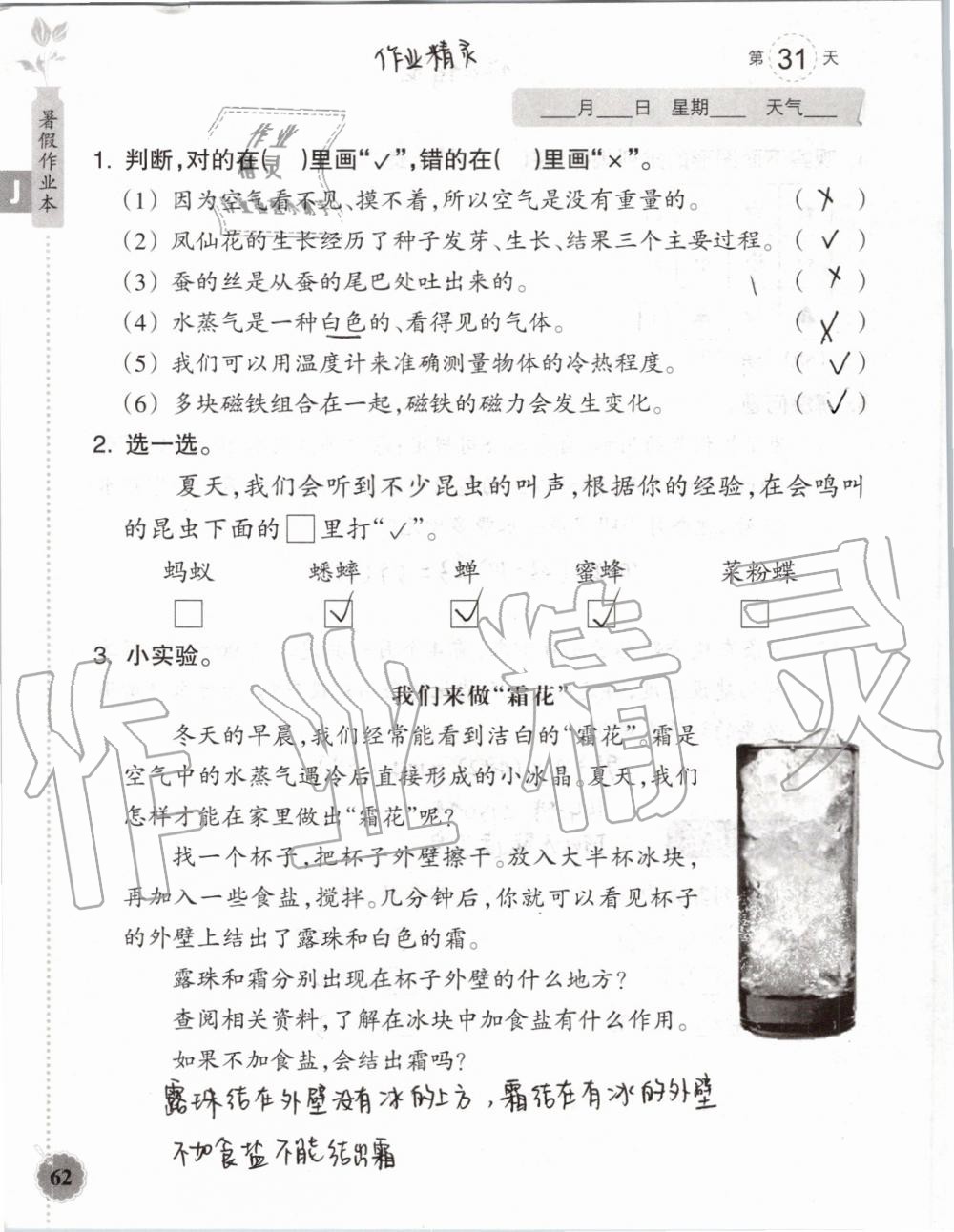 2019年暑假作業(yè)本三年級(jí)數(shù)學(xué)科學(xué)教科版浙江教育出版社 第61頁(yè)