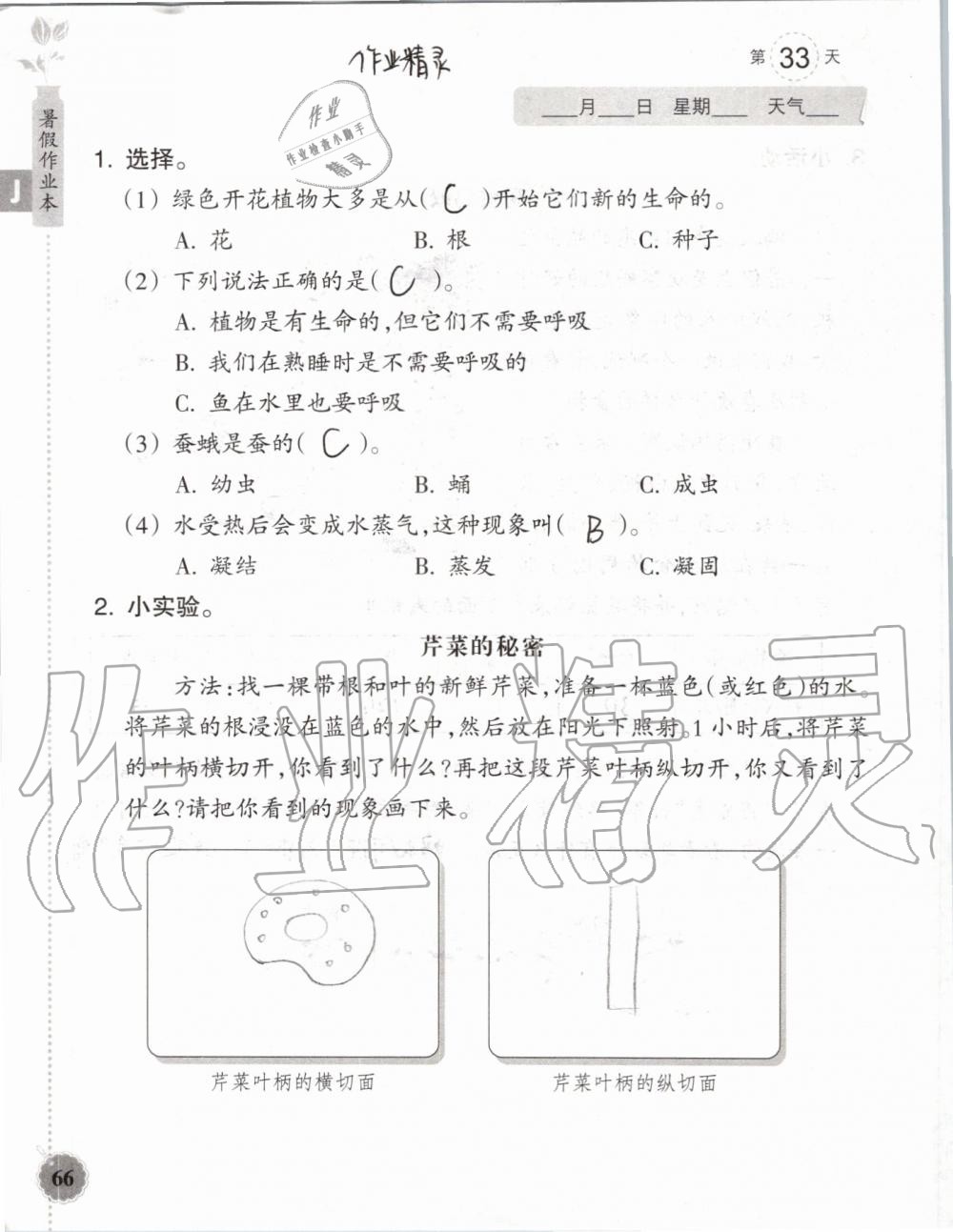 2019年暑假作业本三年级数学科学教科版浙江教育出版社 第65页