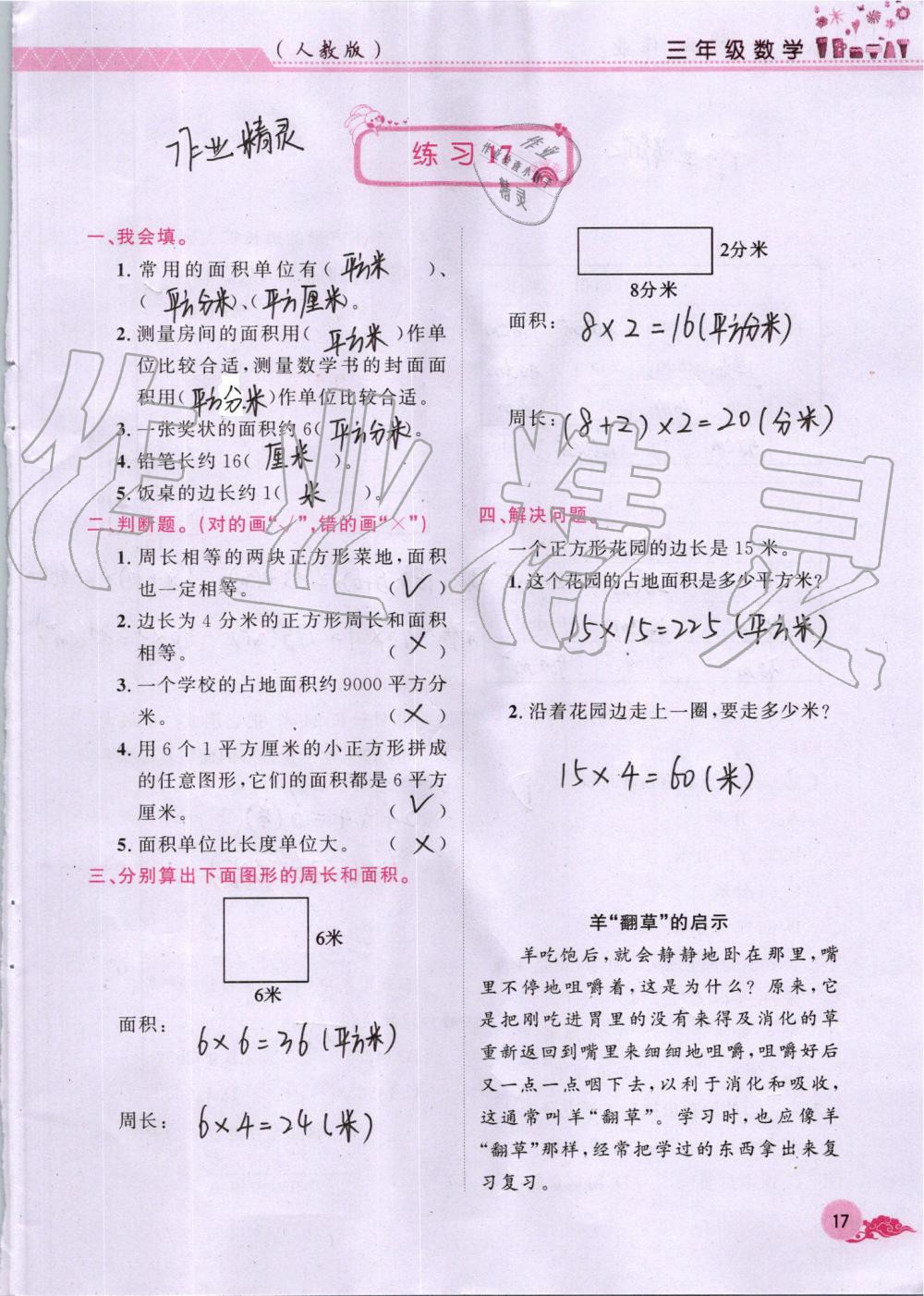 2019年芝麻开花暑假作业三年级数学人教版江西教育出版社 第17页