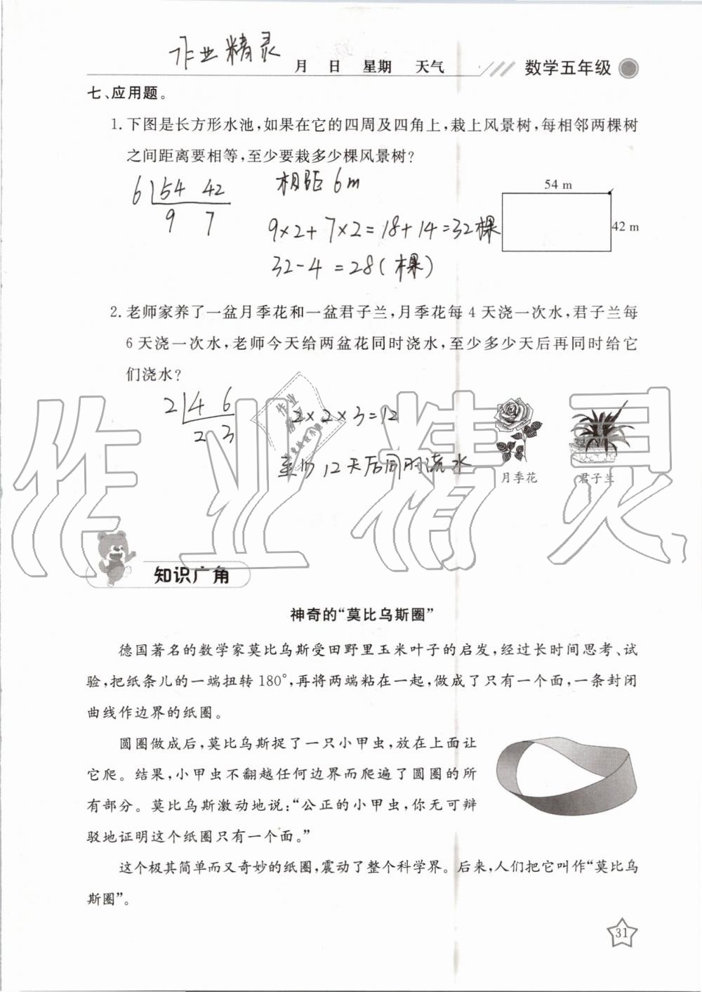 2019年湘岳假期暑假作業(yè)五年級數(shù)學(xué)蘇教版 第31頁