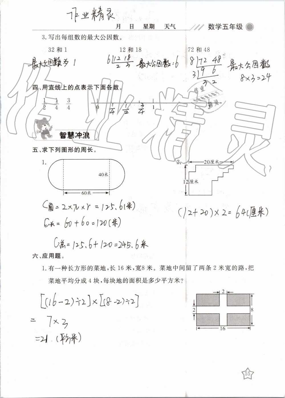 2019年湘岳假期暑假作業(yè)五年級(jí)數(shù)學(xué)蘇教版 第55頁(yè)