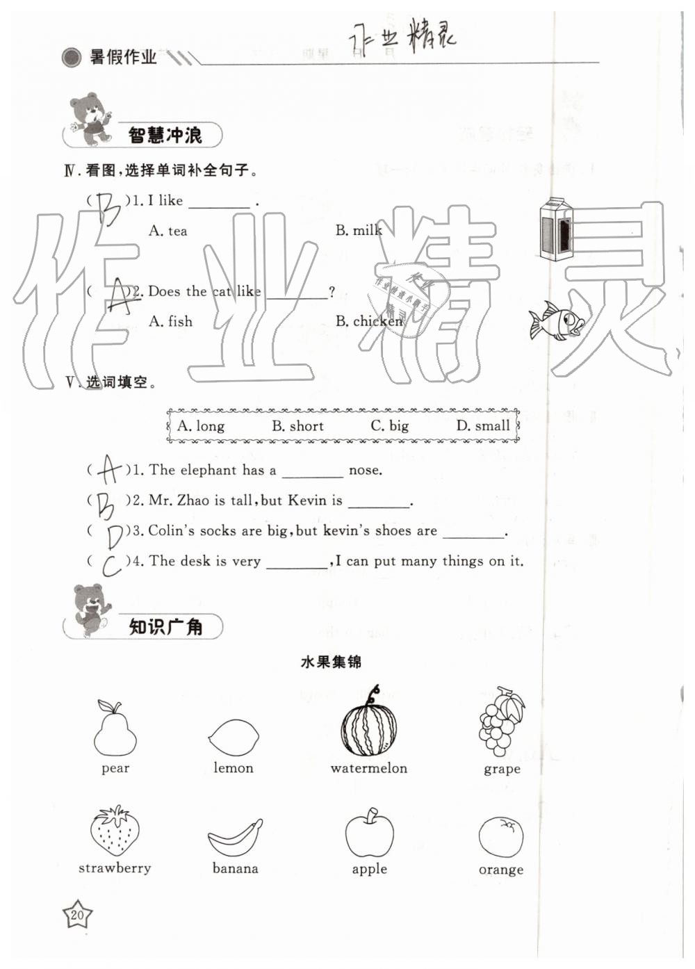 2019年湘岳假期暑假作業(yè)三年級英語陜旅版 第20頁