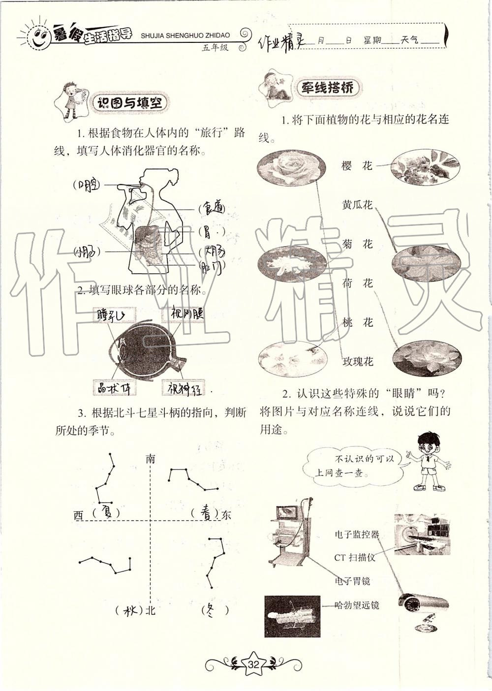 2019年暑假生活指导五年级鲁教版六三制山东教育出版社 第32页