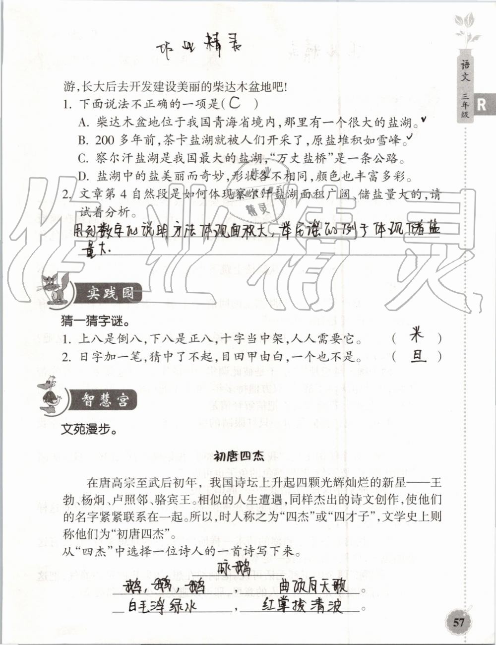 2019年暑假作业本三年级语文英语人教版浙江教育出版社 第56页