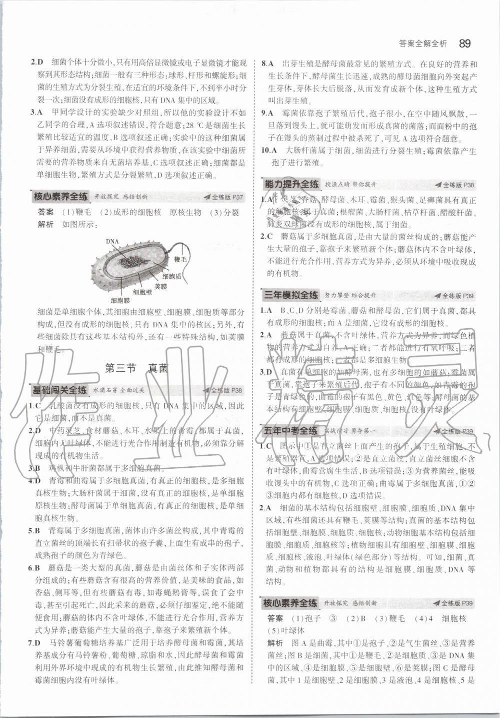 2019年5年中考3年模拟初中生物八年级上册人教版 第19页