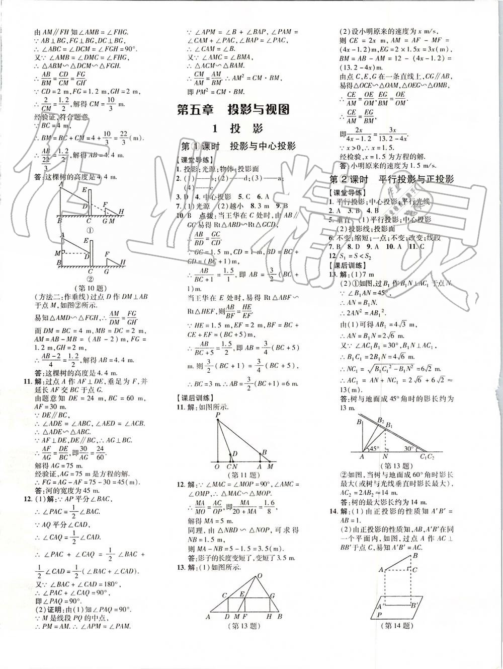 2019年点拨训练九年级数学上册北师大版 第20页