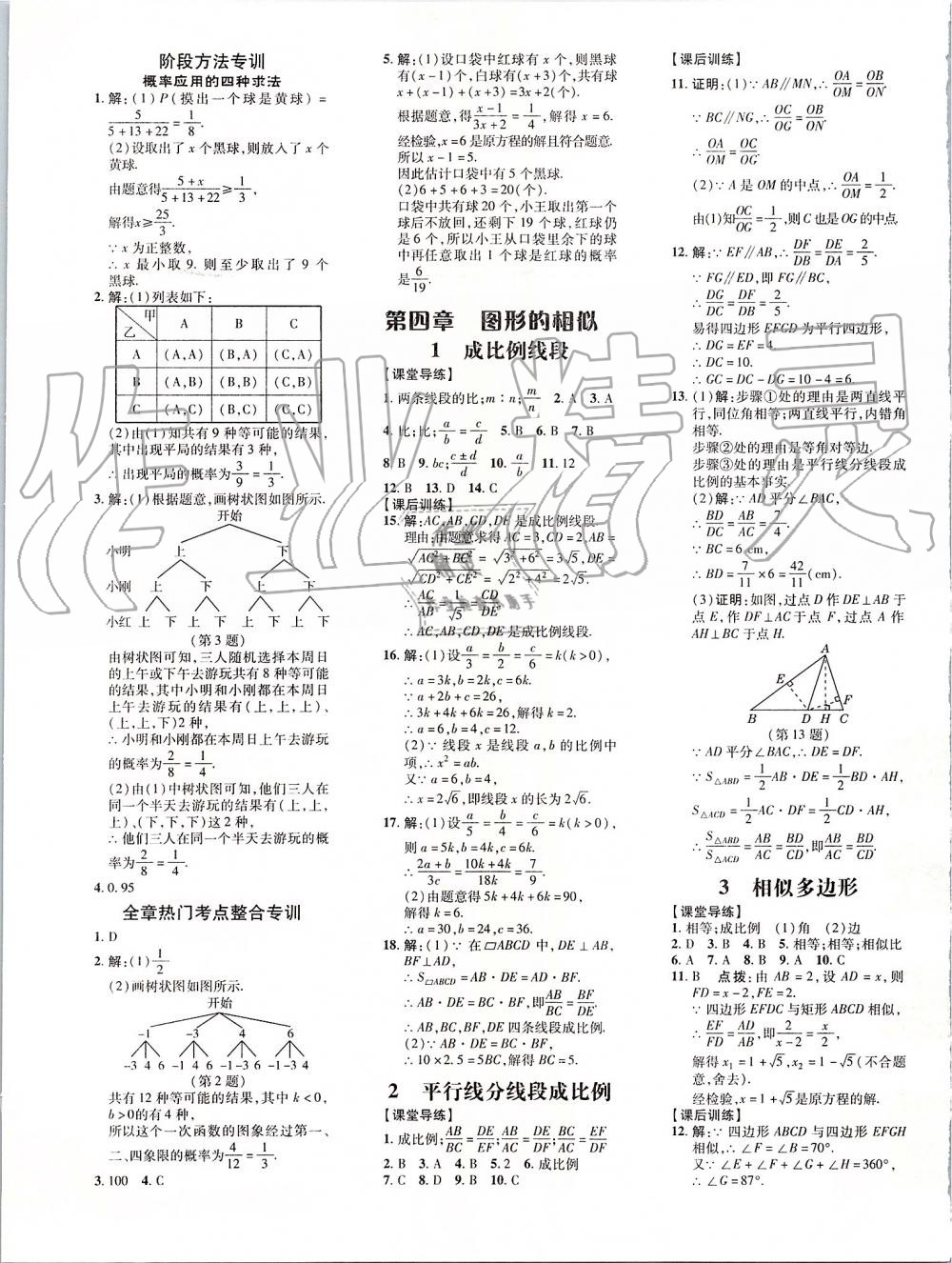 2019年点拨训练九年级数学上册北师大版 第13页