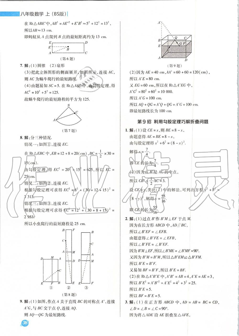 2019年综合应用创新题典中点八年级数学上册北师大版 参考答案第46页