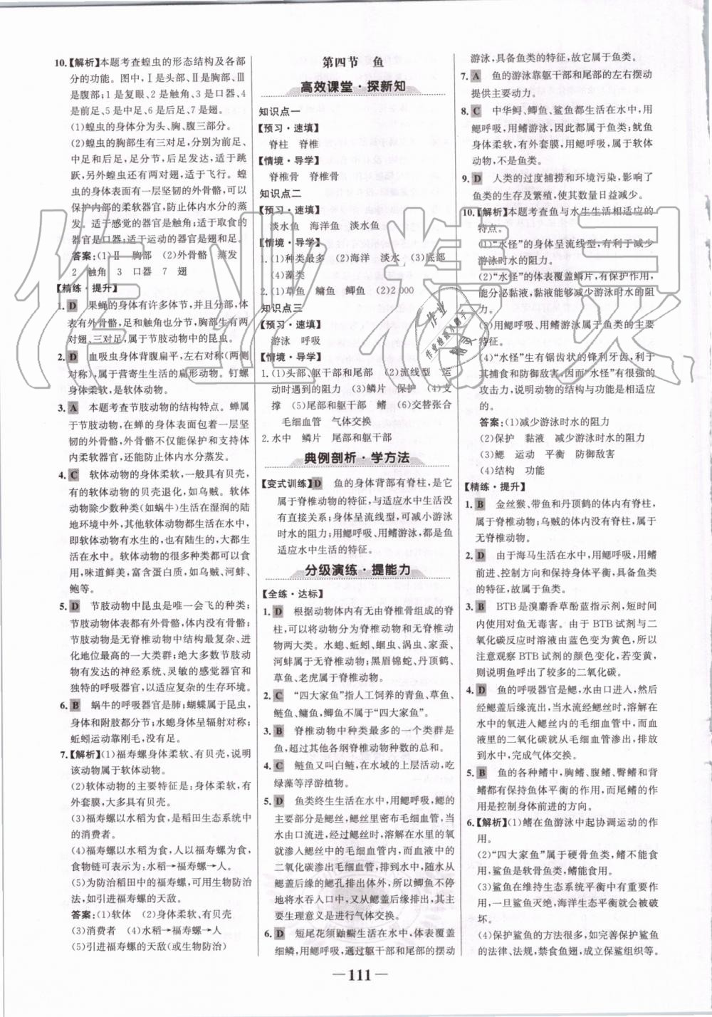 2019年世紀(jì)金榜金榜學(xué)案八年級(jí)生物上冊(cè)人教版 第3頁