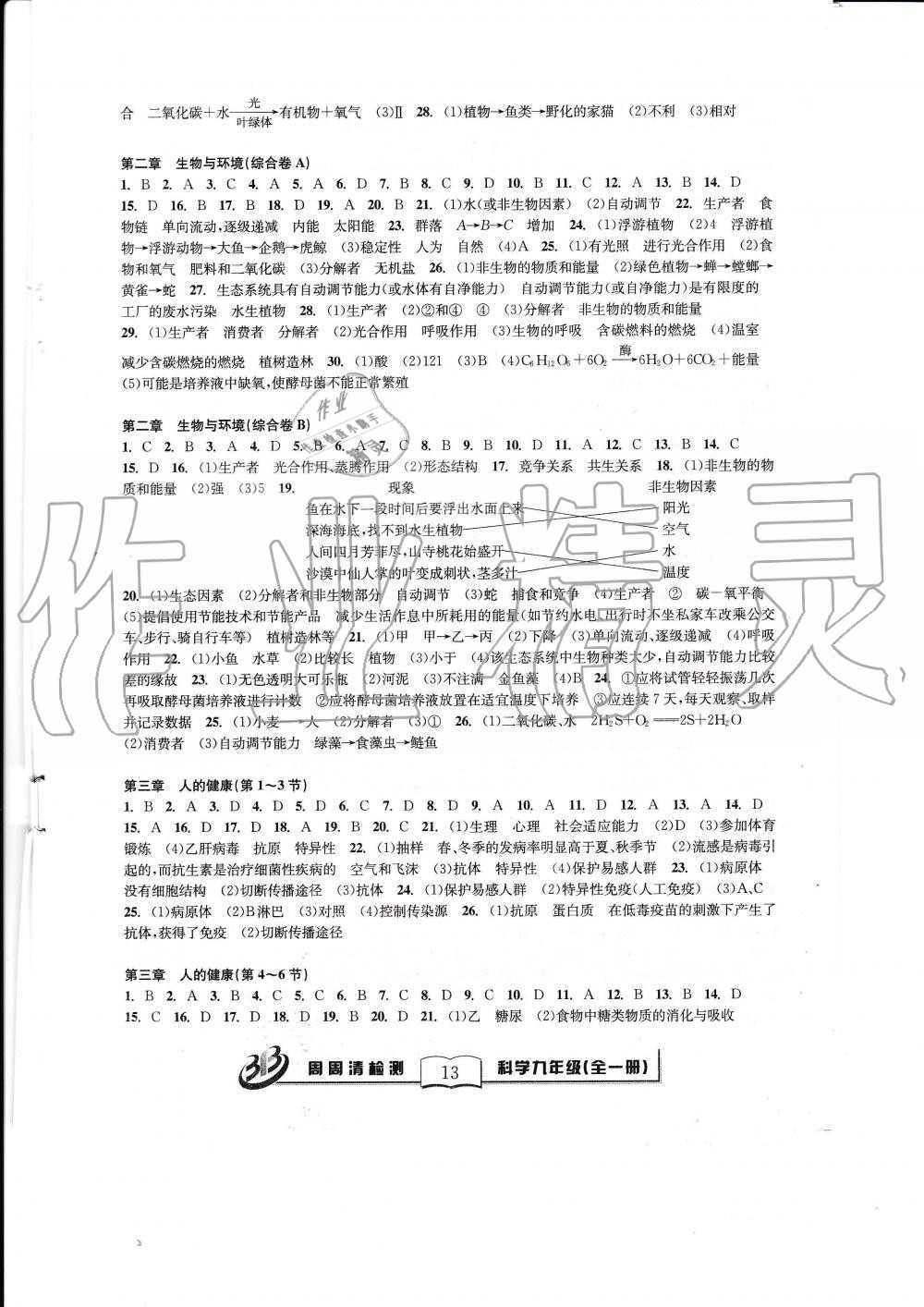 2019年周周清检测九年级科学全一册浙教版 第13页