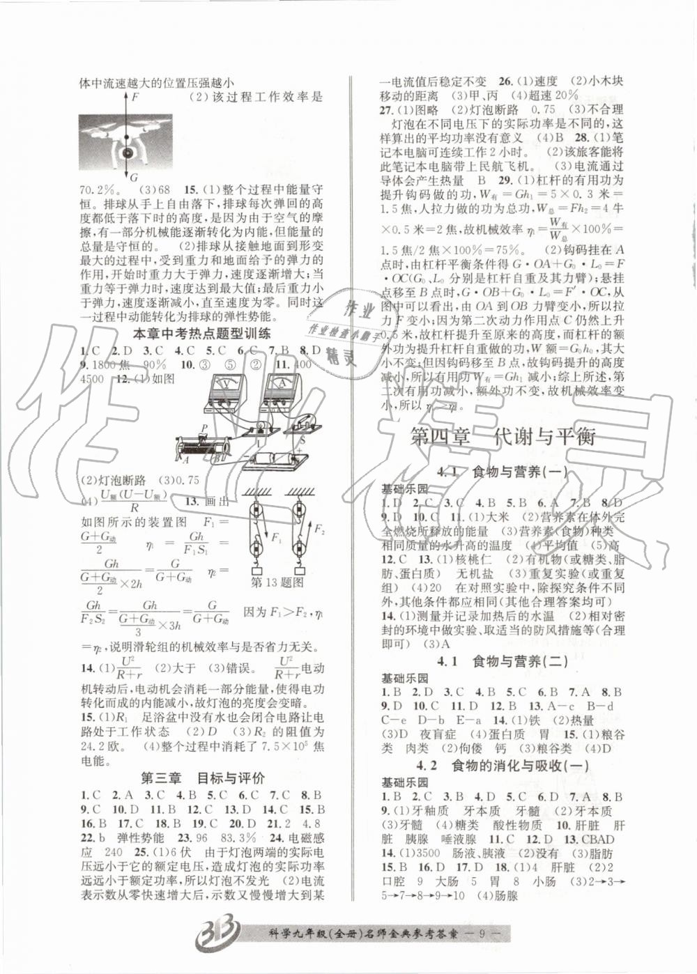 2019年名師金典BFB初中課時(shí)優(yōu)化九年級(jí)科學(xué)全一冊(cè)浙教版 第9頁(yè)