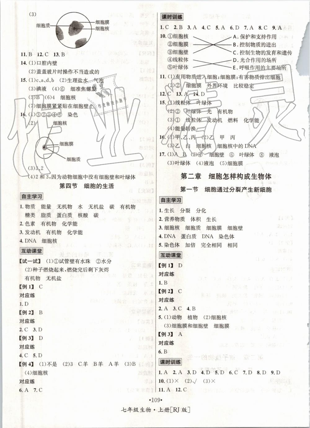 2019年優(yōu)學名師名題七年級生物上冊人教版 第5頁