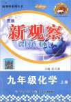 2019年思維新觀察九年級(jí)化學(xué)上冊(cè)人教版