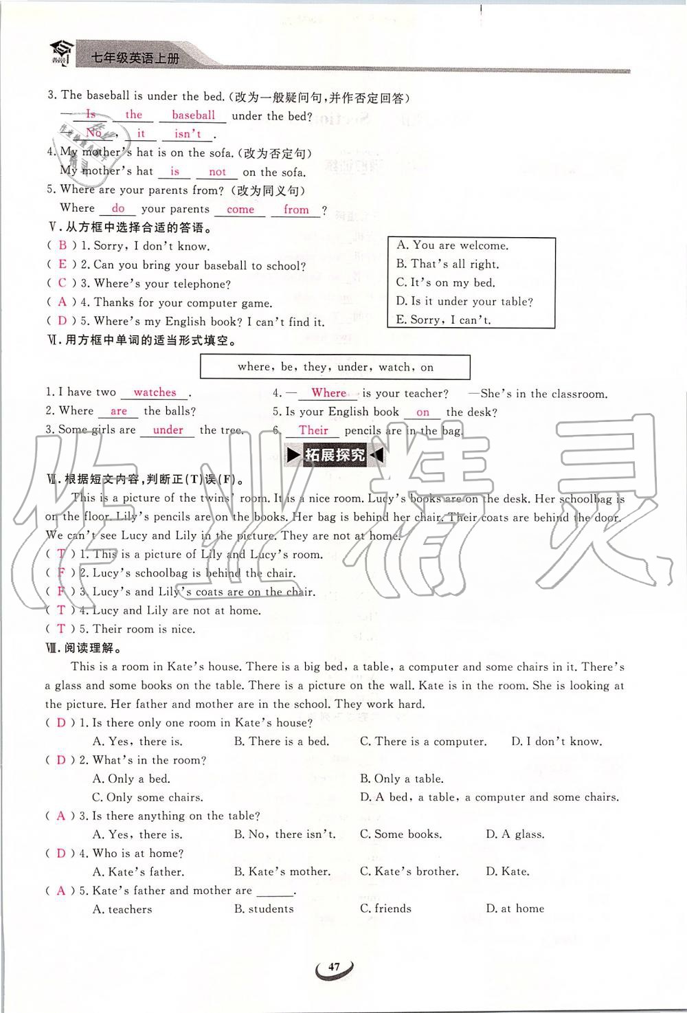 2019年思維新觀察七年級英語上冊人教版 第47頁