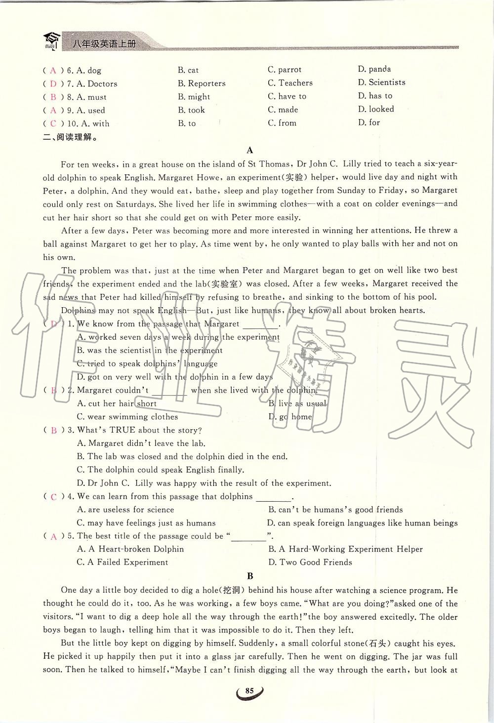 2019年思維新觀察八年級英語上冊人教版 第85頁