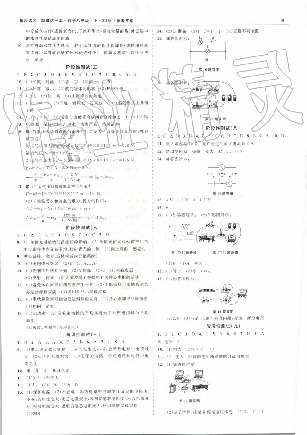 2019年精彩练习就练这一本八年级科学上册浙教版 第19页