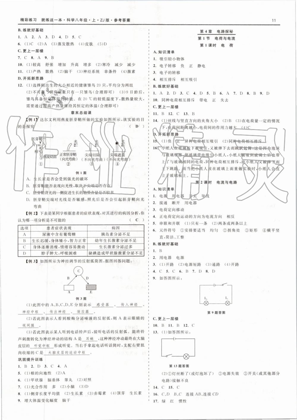 2019年精彩练习就练这一本八年级科学上册浙教版 第11页