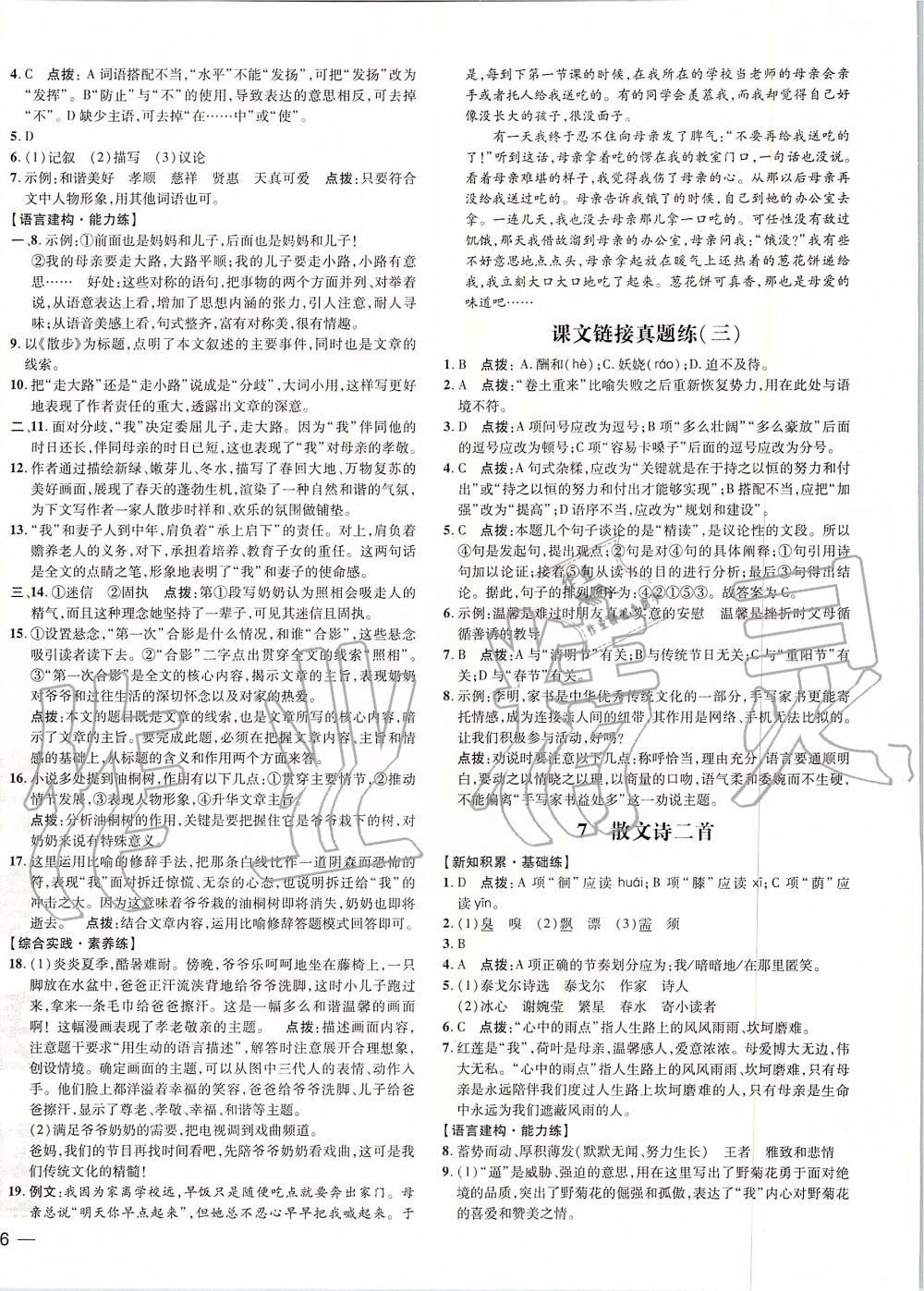 2019年點(diǎn)撥訓(xùn)練七年級語文上冊人教版 第8頁