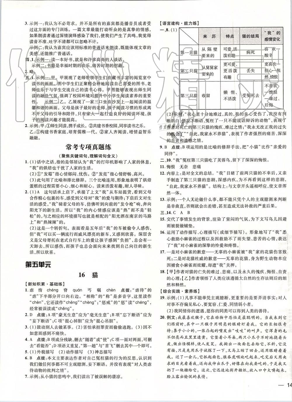 2019年點撥訓練七年級語文上冊人教版 第15頁