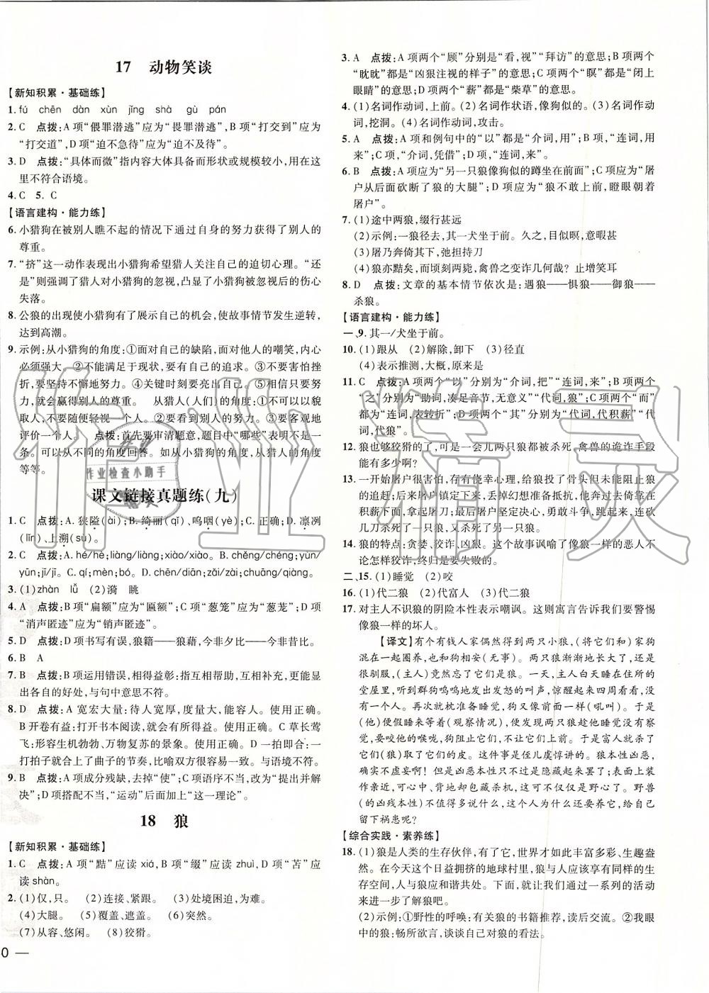 2019年點(diǎn)撥訓(xùn)練七年級語文上冊人教版 第16頁