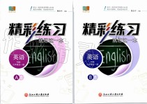 2019年精彩練習(xí)就練這一本九年級英語全一冊人教版