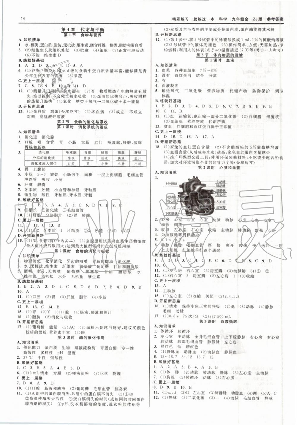 2019年精彩练习就练这一本九年级科学全一册浙教版 第14页