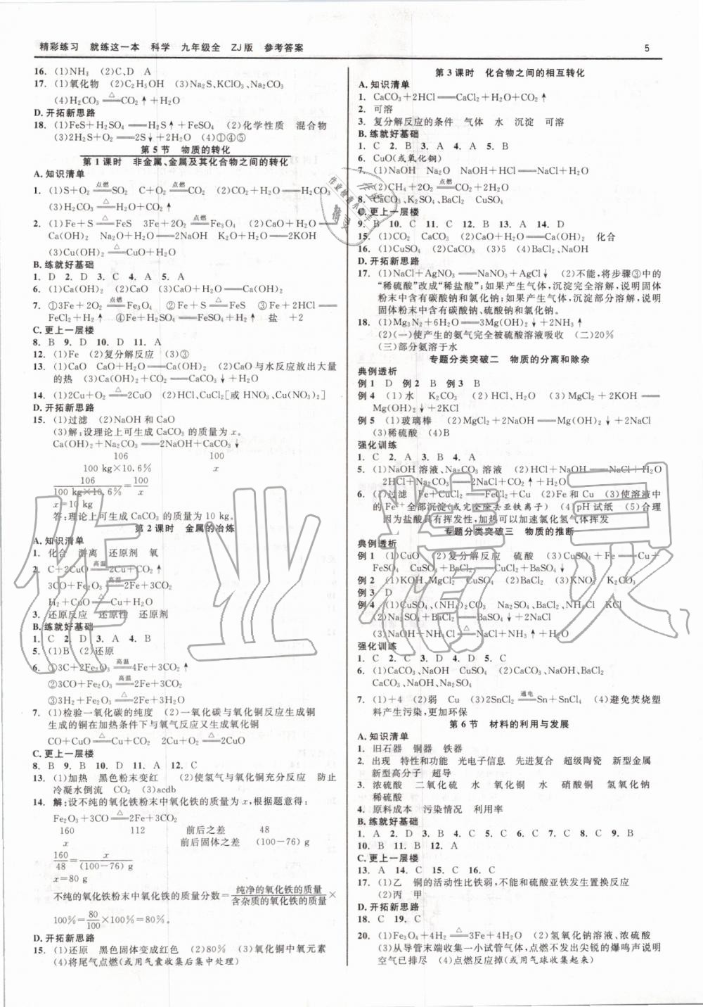 2019年精彩练习就练这一本九年级科学全一册浙教版 第5页