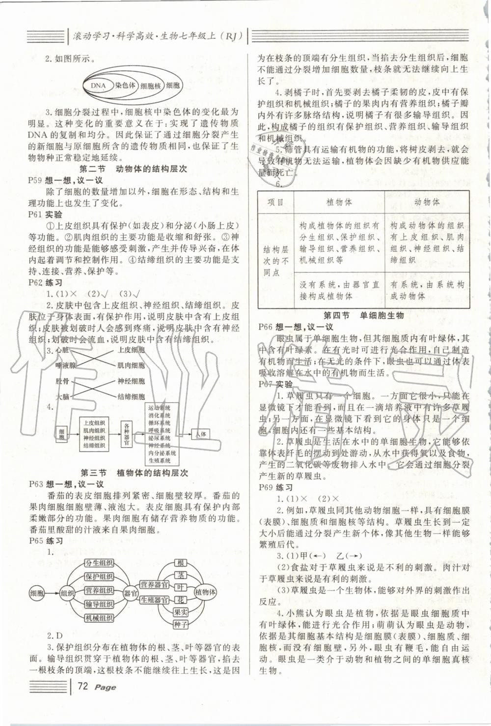 2019年名校课堂七年级生物上册人教版 第4页