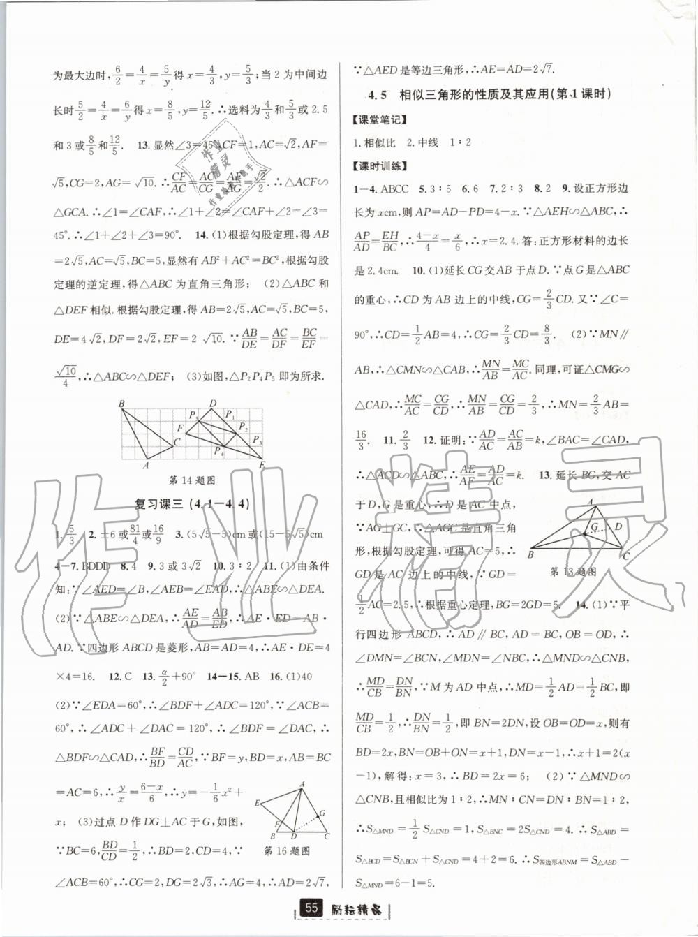 2019年励耘书业励耘新同步九年级数学全一册浙教版 第19页