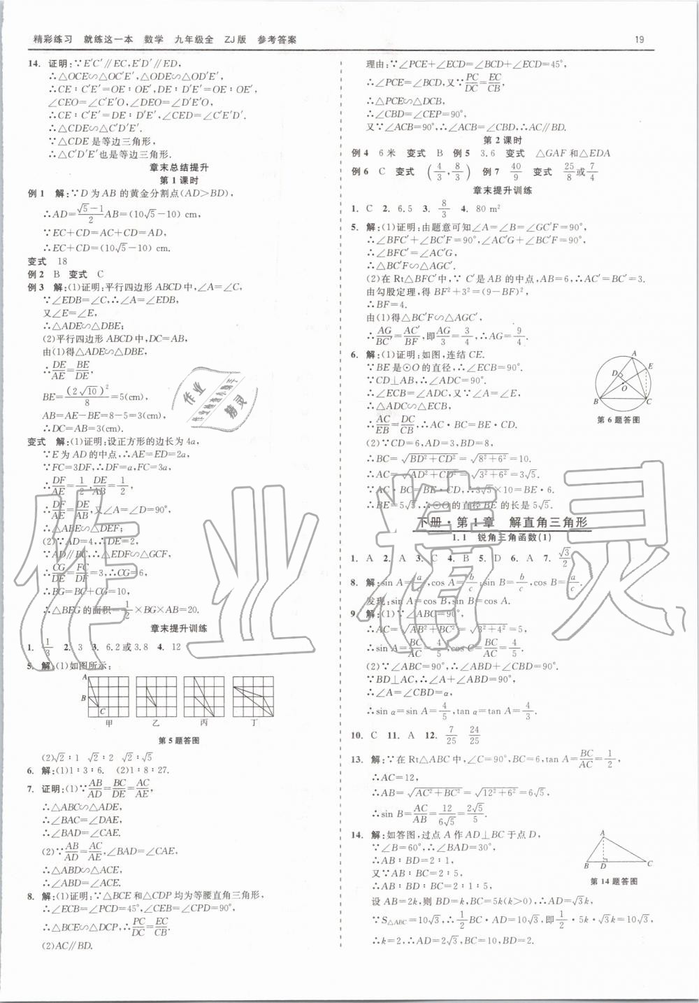 2019年精彩練習(xí)就練這一本九年級(jí)數(shù)學(xué)全一冊(cè)浙教版 第19頁(yè)