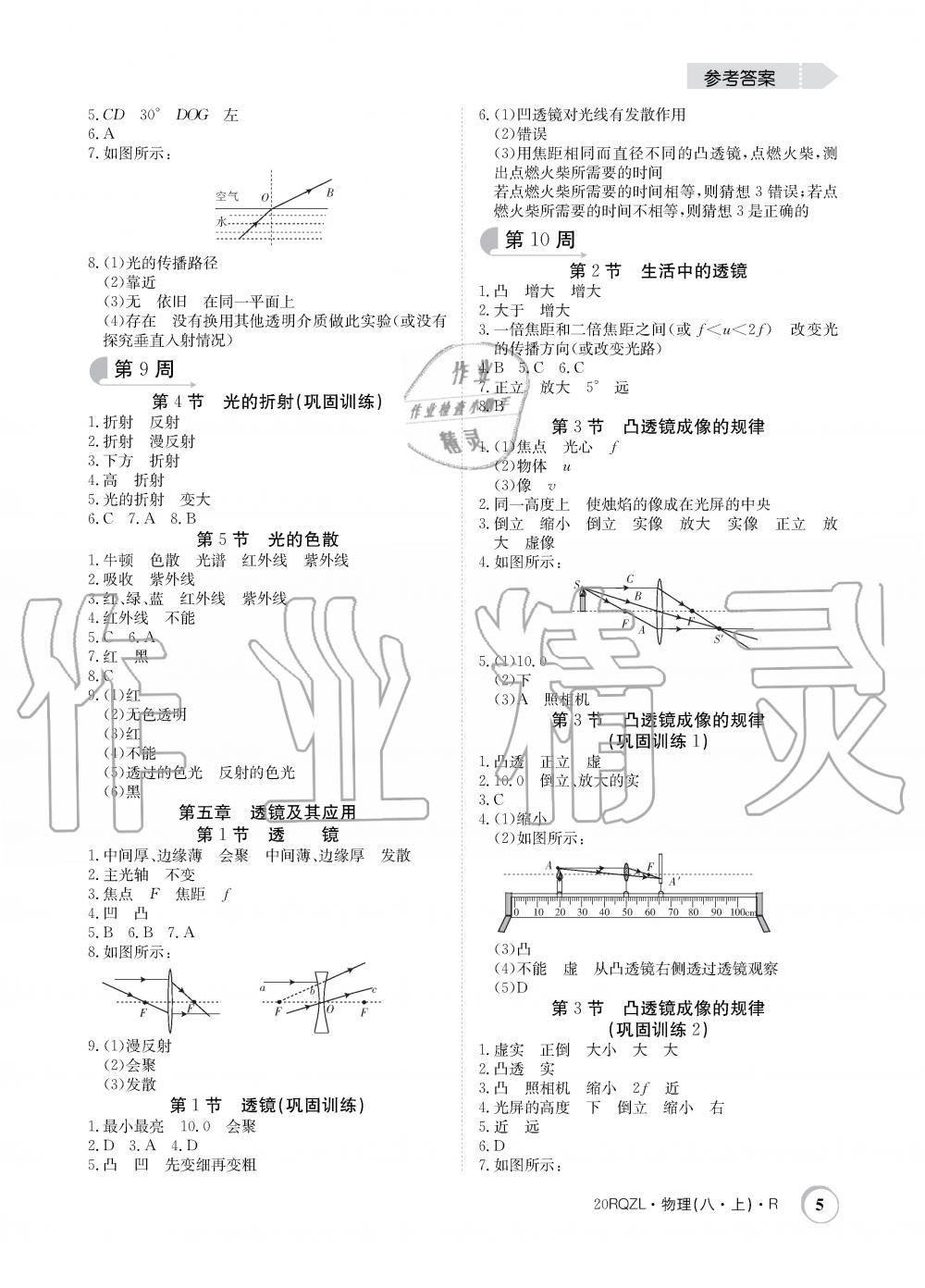 2019年日清周練限時(shí)提升卷八年級(jí)物理上冊(cè)人教版 第5頁