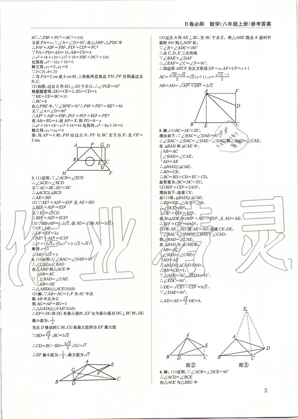 2019年B卷必刷八年級數(shù)學上冊北師大版 第3頁