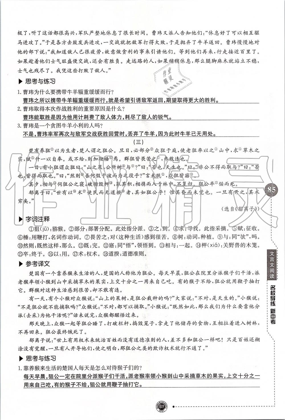 2019年名校导练新中考语文冲刺版 第85页