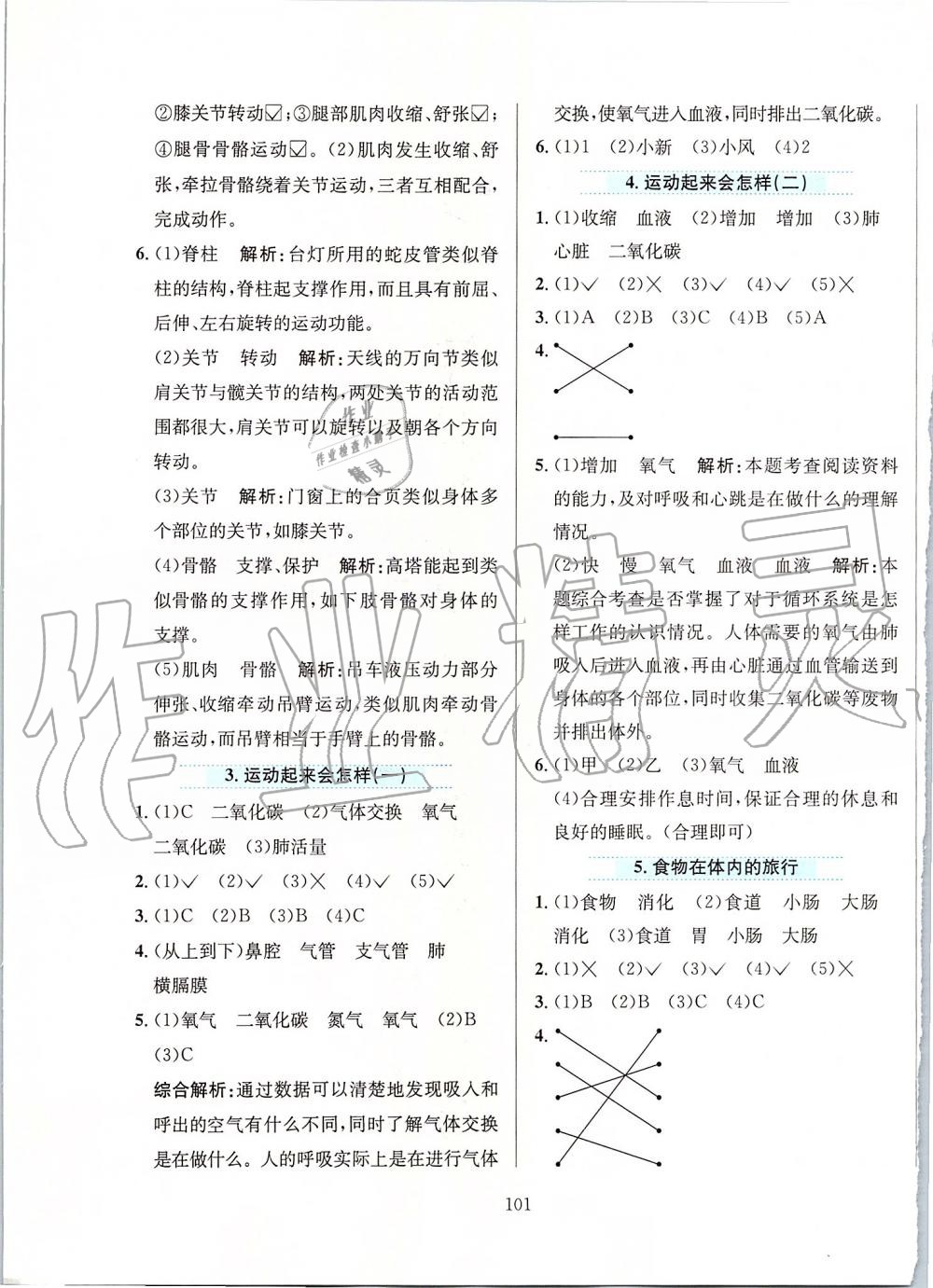 2019年小學(xué)教材全練四年級(jí)科學(xué)上冊(cè)教育科學(xué)版 第13頁