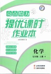 2019年亮點給力提優(yōu)課時作業(yè)本九年級化學(xué)上冊滬教版