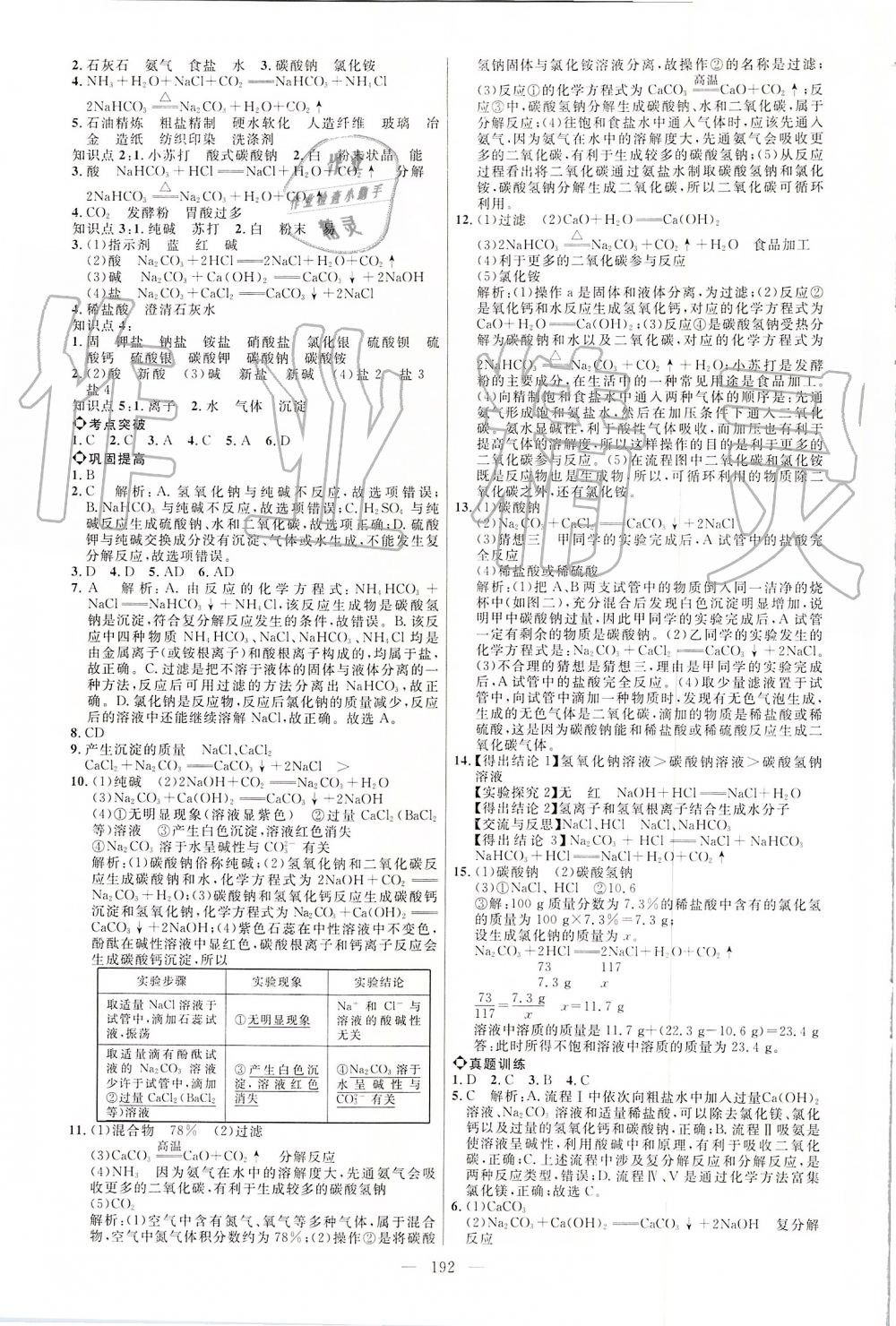 2019年细解巧练九年级化学全一册鲁教版 第11页