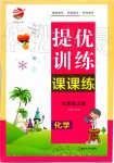 2019年金鑰匙提優(yōu)訓(xùn)練課課練九年級(jí)化學(xué)上冊(cè)上海版