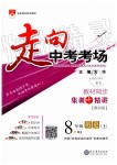 2019年走向中考考場(chǎng)八年級(jí)歷史上冊(cè)人教版