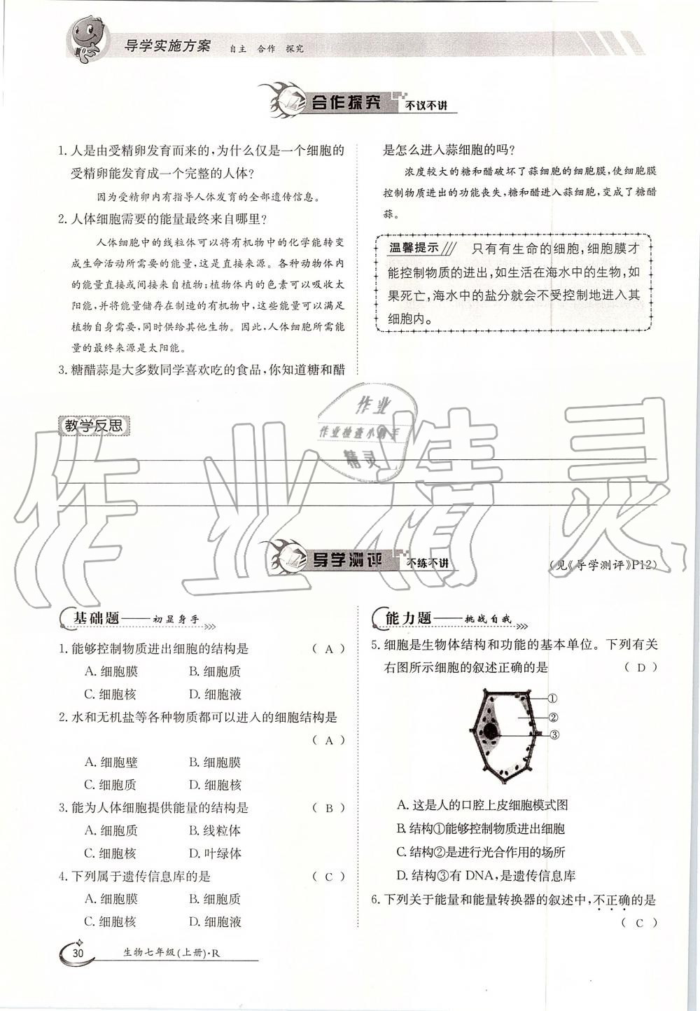 2019年金太陽導(dǎo)學(xué)案七年級生物上冊人教版 第30頁