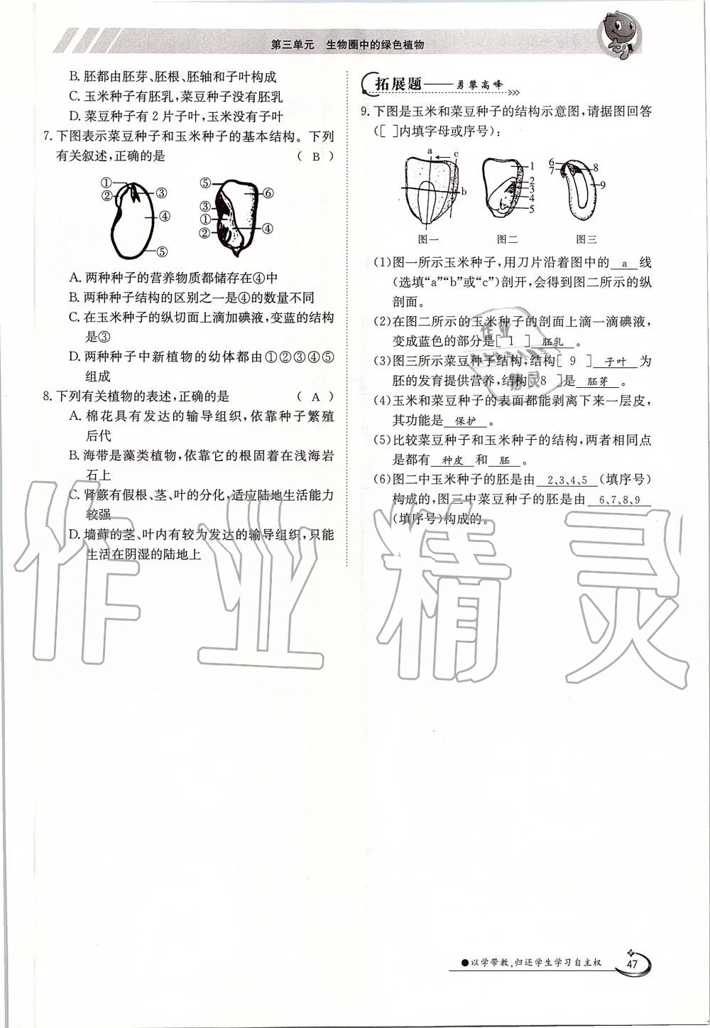 2019年金太阳导学案七年级生物上册人教版 第47页