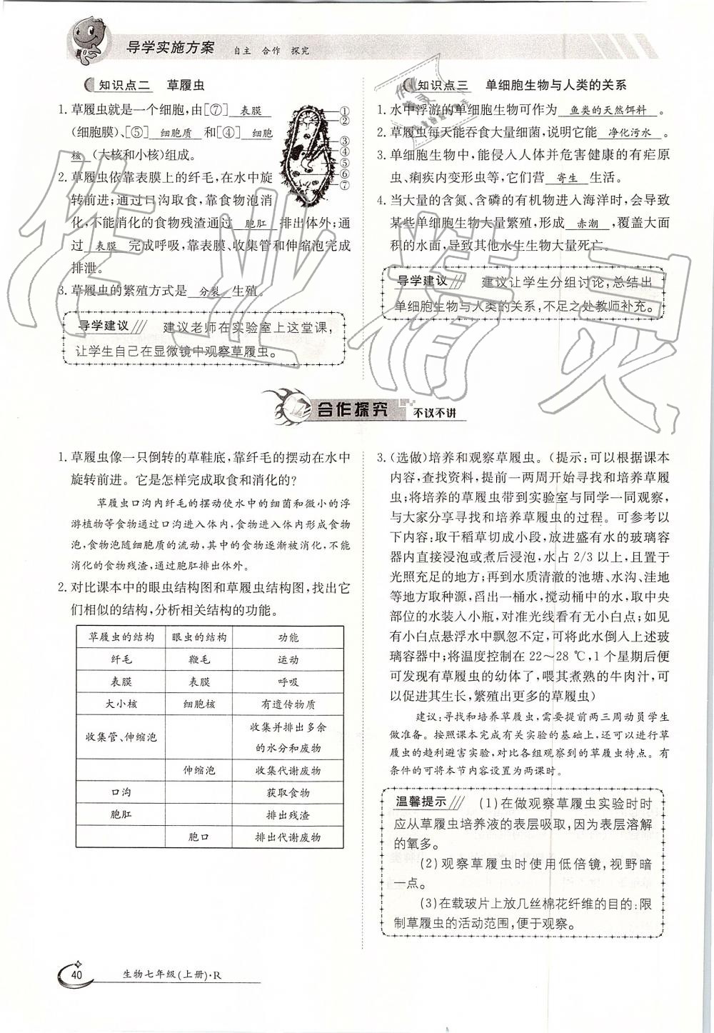 2019年金太阳导学案七年级生物上册人教版 第40页