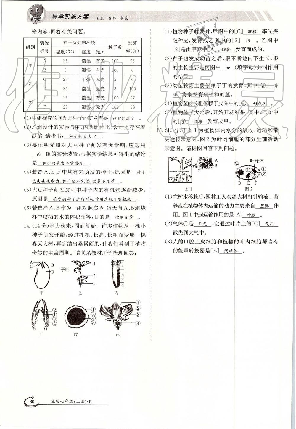 2019年金太阳导学案七年级生物上册人教版 第80页