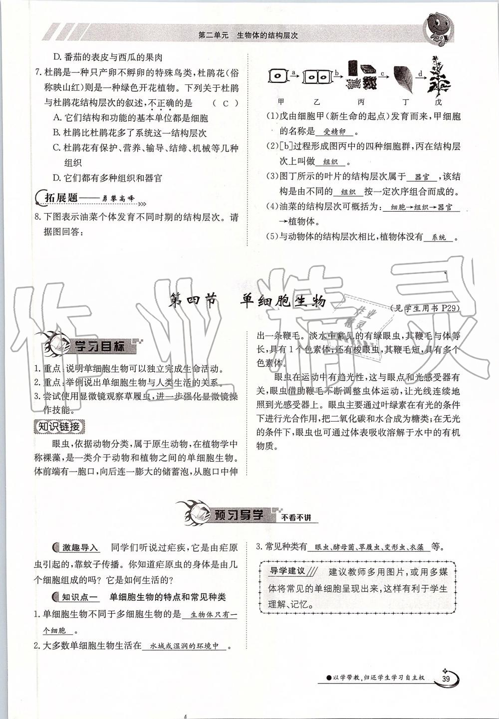 2019年金太阳导学案七年级生物上册人教版 第39页