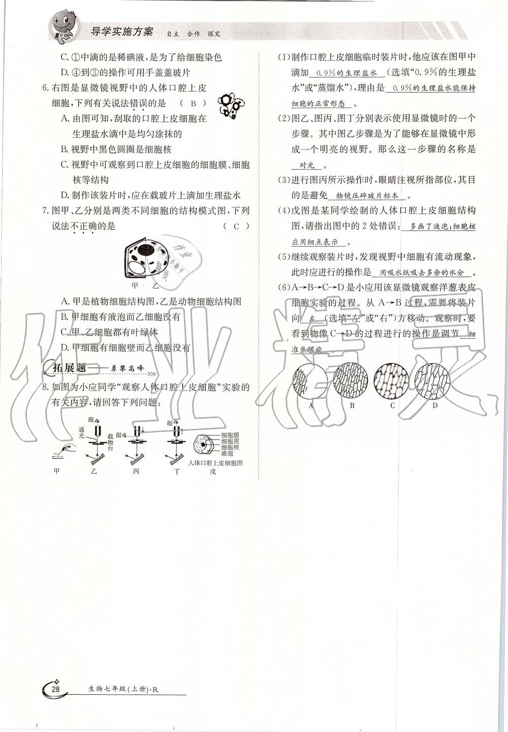 2019年金太阳导学案七年级生物上册人教版 第28页