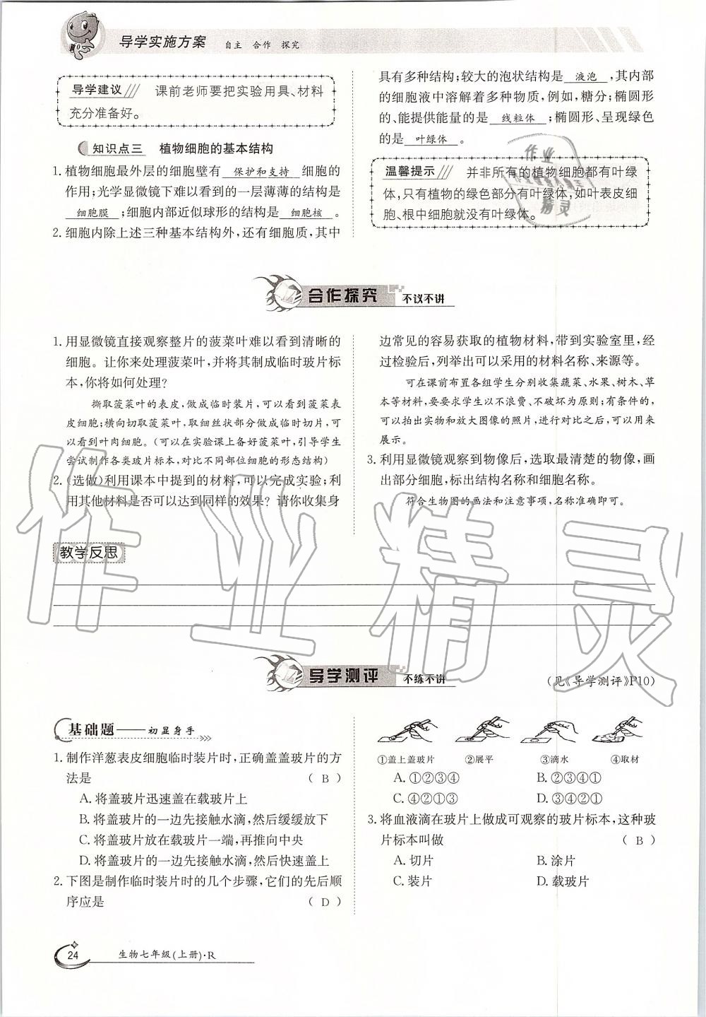 2019年金太陽導(dǎo)學(xué)案七年級(jí)生物上冊(cè)人教版 第24頁