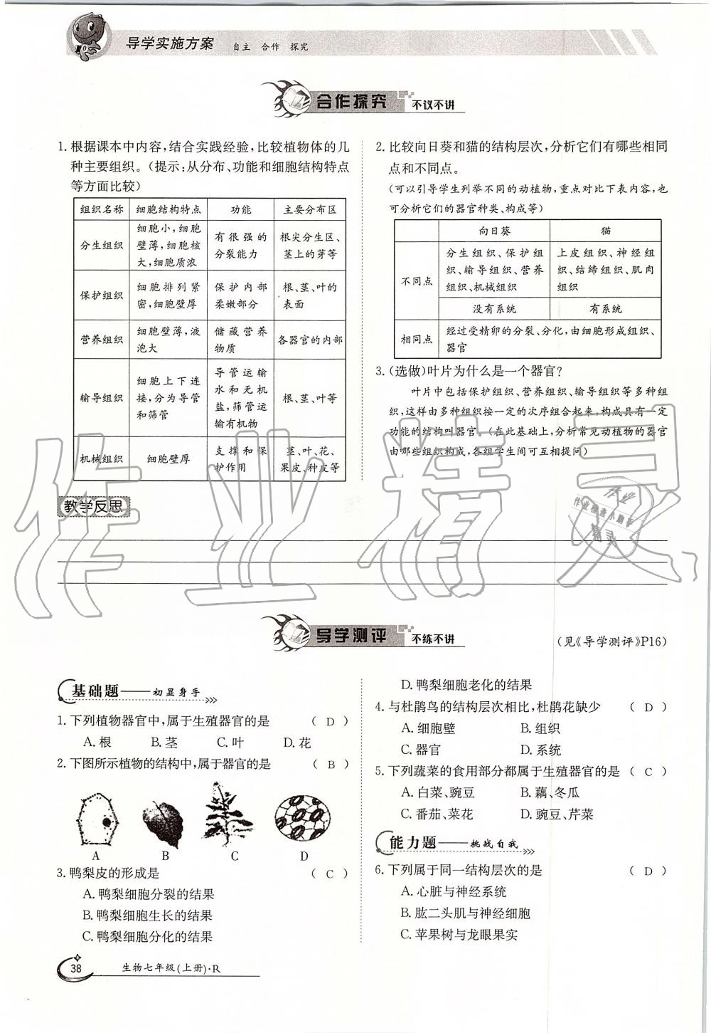 2019年金太阳导学案七年级生物上册人教版 第38页