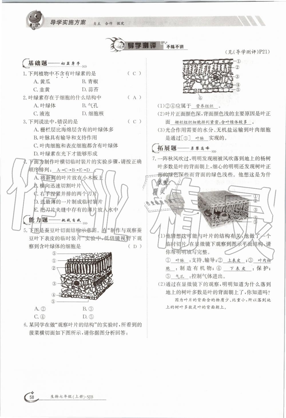 2019年金太陽導(dǎo)學(xué)案七年級(jí)生物上冊(cè)蘇教版 第58頁