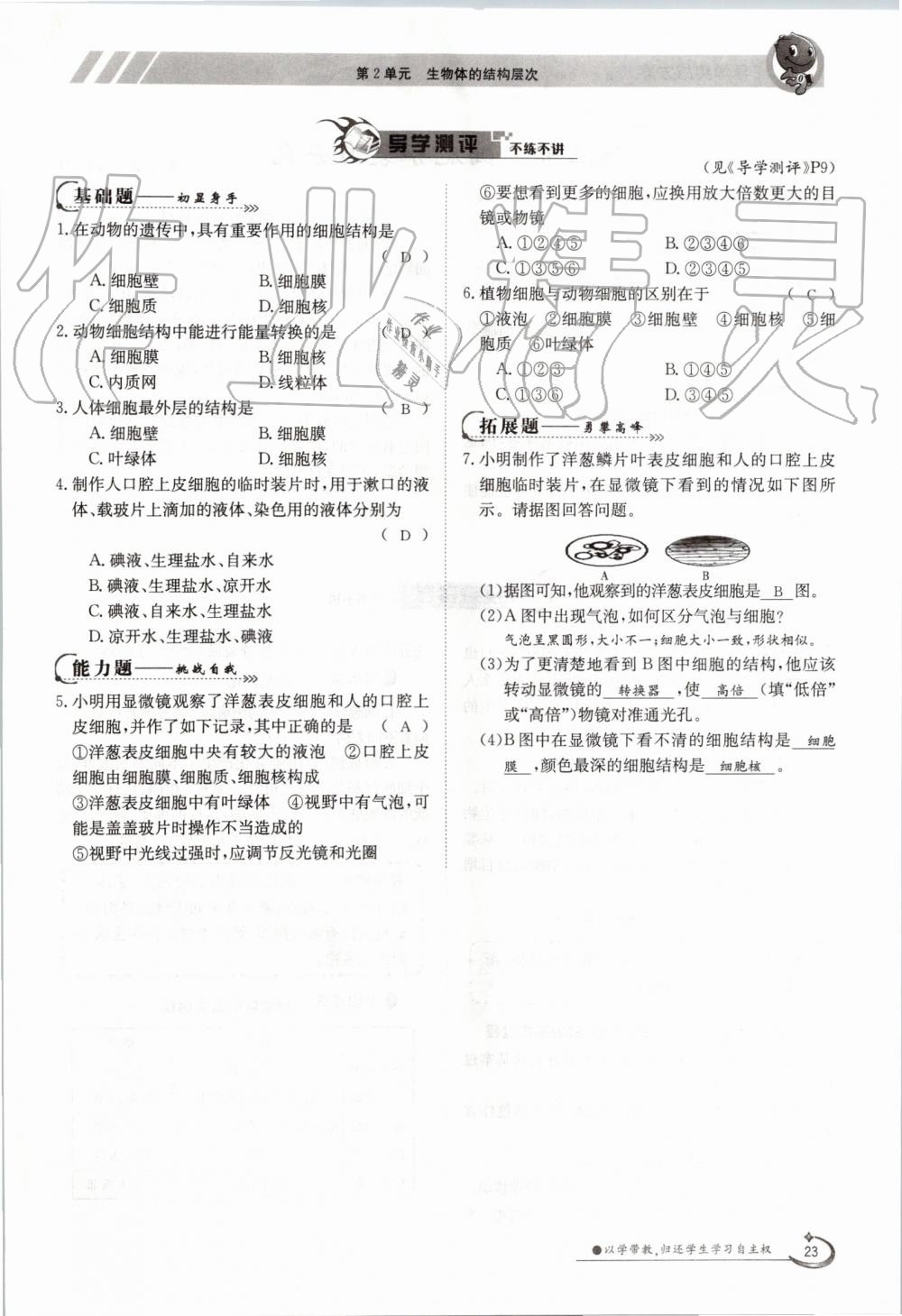 2019年金太陽(yáng)導(dǎo)學(xué)案七年級(jí)生物上冊(cè)蘇教版 第23頁(yè)