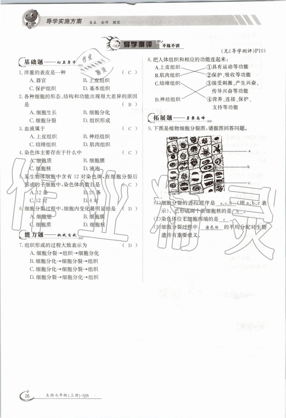 2019年金太陽導(dǎo)學(xué)案七年級(jí)生物上冊(cè)蘇教版 第26頁