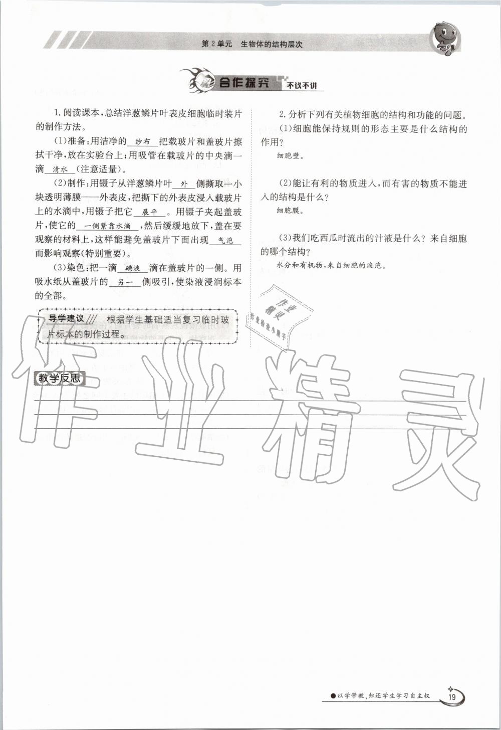 2019年金太陽導(dǎo)學(xué)案七年級生物上冊蘇教版 第19頁